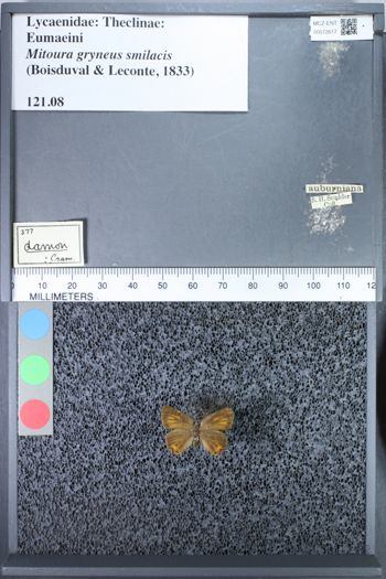 Media type: image;   Entomology 72617